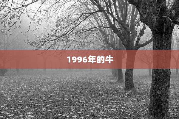 1996年的牛