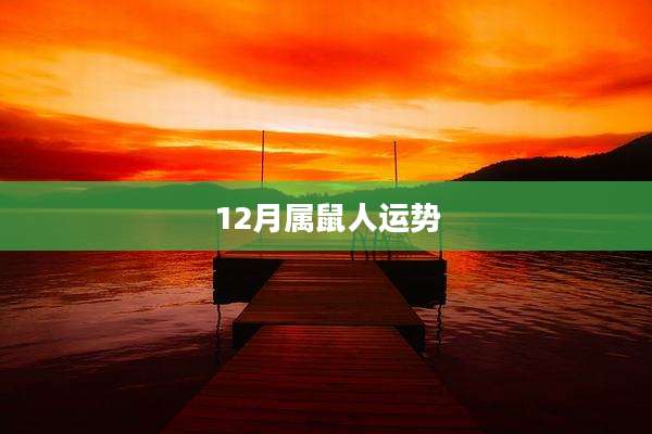 12月属鼠人运势