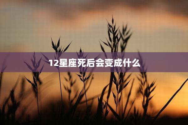 12星座死后会变成什么