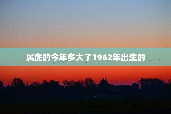 属虎的今年多大了1962年出生的