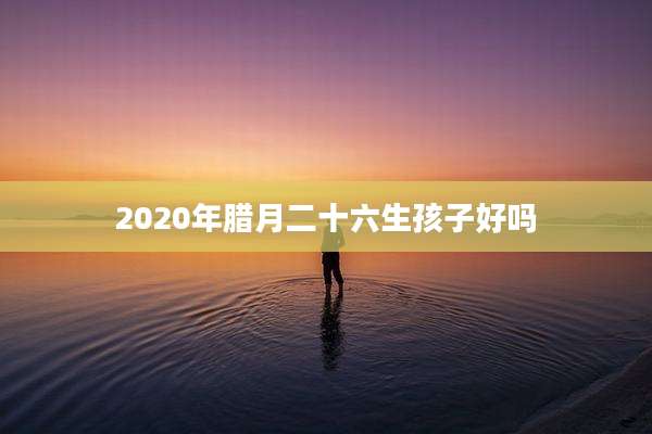 2020年腊月二十六生孩子好吗