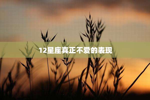 12星座真正不爱的表现
