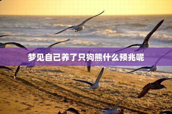 梦见自己养了只狗熊什么预兆呢
