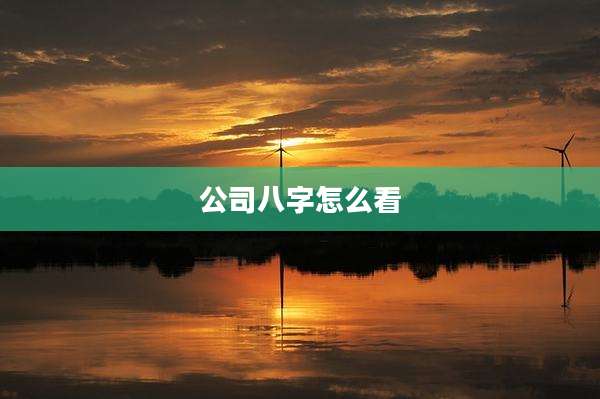 公司八字怎么看