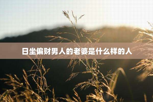 日坐偏财男人的老婆是什么样的人