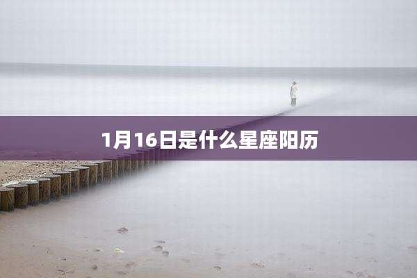 1月16日是什么星座阳历