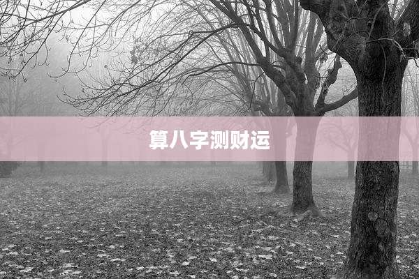 算八字测财运