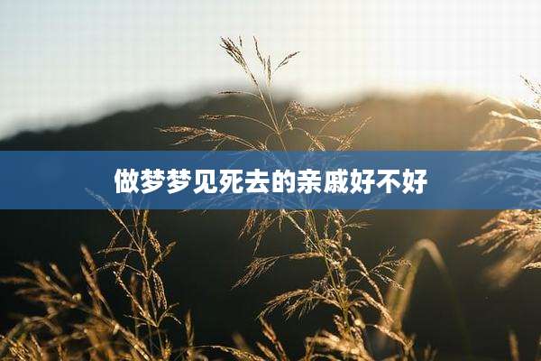 做梦梦见死去的亲戚好不好