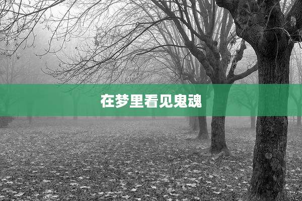 在梦里看见鬼魂
