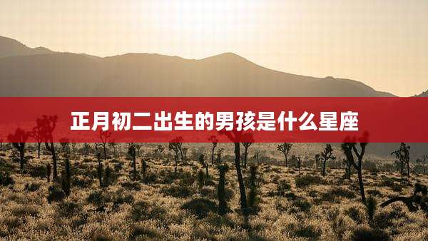 正月初二出生的男孩是什么星座