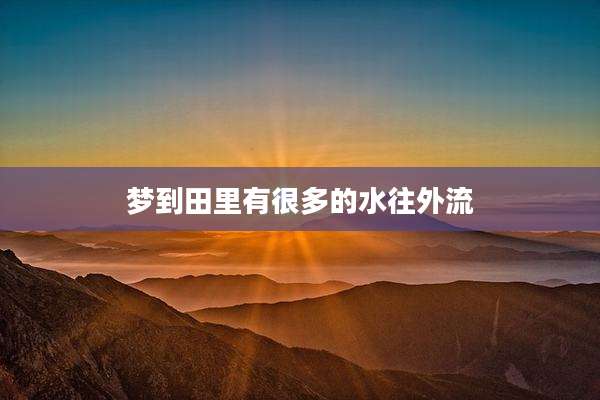 梦到田里有很多的水往外流