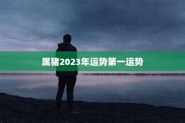属猪2023年运势第一运势
