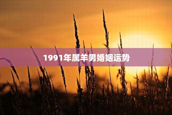1991年属羊男婚姻运势