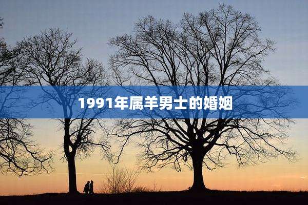 1991年属羊男士的婚姻