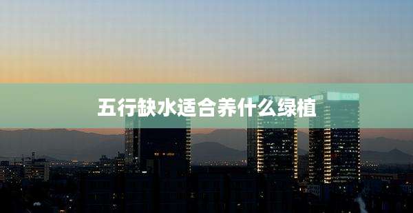 五行缺水适合养什么绿植