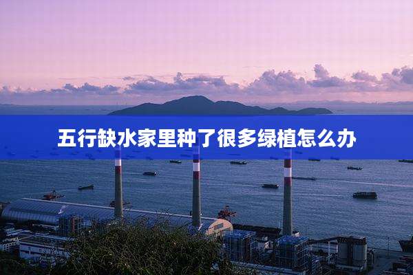 五行缺水家里种了很多绿植怎么办