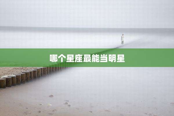 哪个星座最能当明星