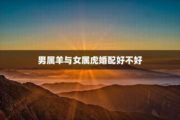 男属羊与女属虎婚配好不好