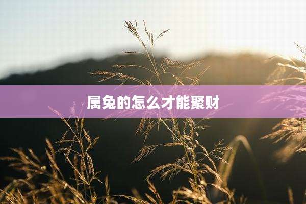 属兔的怎么才能聚财