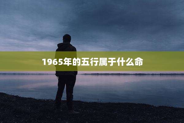1965年的五行属于什么命