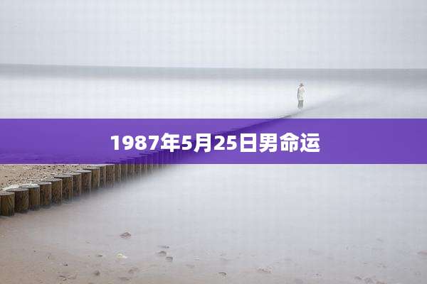 1987年5月25日男命运
