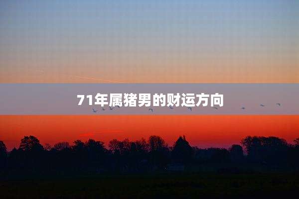 71年属猪男的财运方向