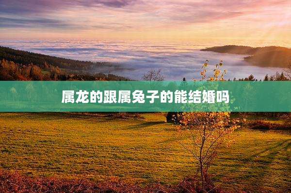 属龙的跟属兔子的能结婚吗