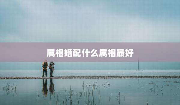 属相婚配什么属相最好