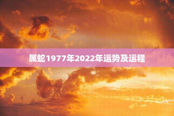 属蛇1977年2022年运势及运程