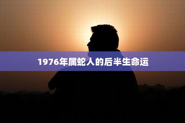 1976年属蛇人的后半生命运