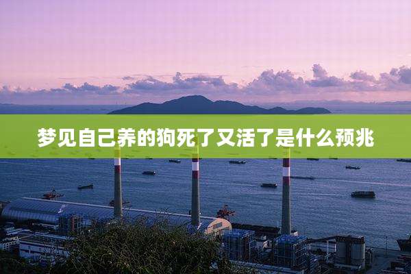梦见自己养的狗死了又活了是什么预兆