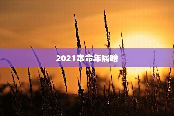 2021本命年属啥