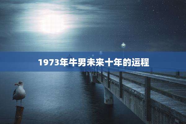 1973年牛男未来十年的运程