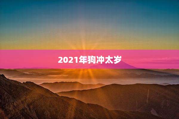 2021年狗冲太岁