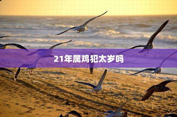 21年属鸡犯太岁吗