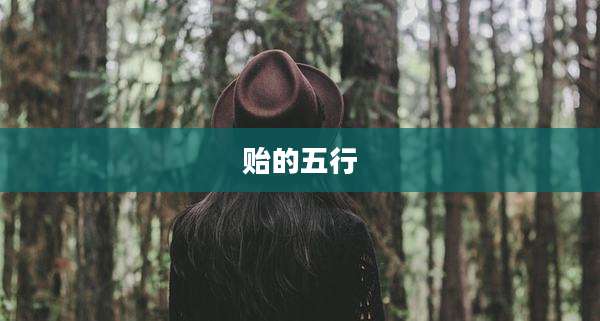 贻的五行
