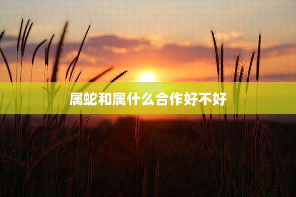 属蛇和属什么合作好不好