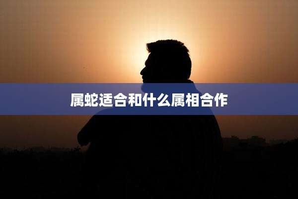 属蛇适合和什么属相合作