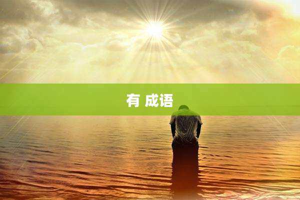 有 成语