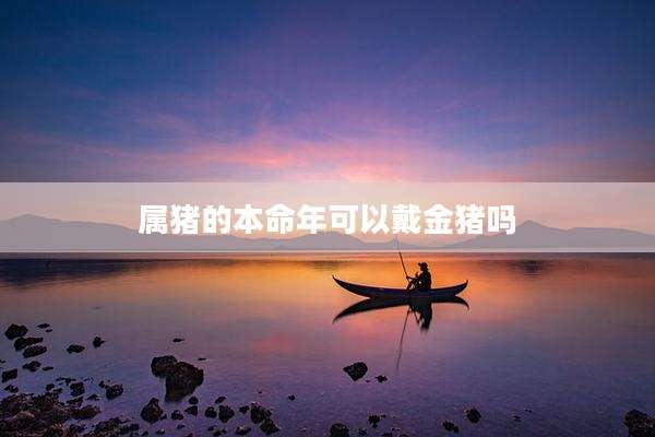 属猪的本命年可以戴金猪吗
