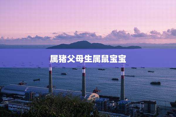 属猪父母生属鼠宝宝