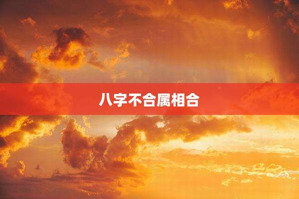 八字不合属相合