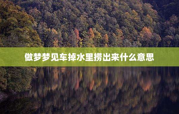 做梦梦见车掉水里捞出来什么意思