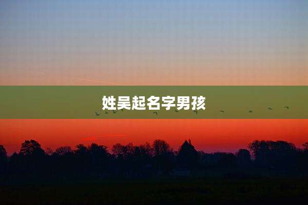 姓吴起名字男孩
