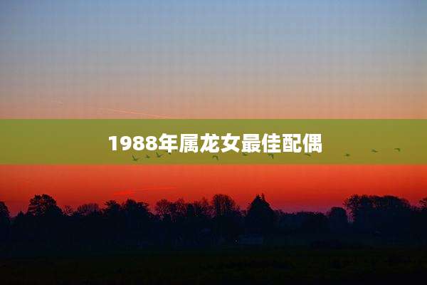 1988年属龙女最佳配偶