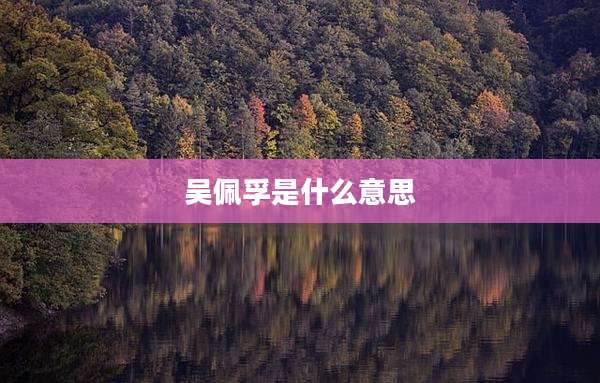 吴佩孚是什么意思