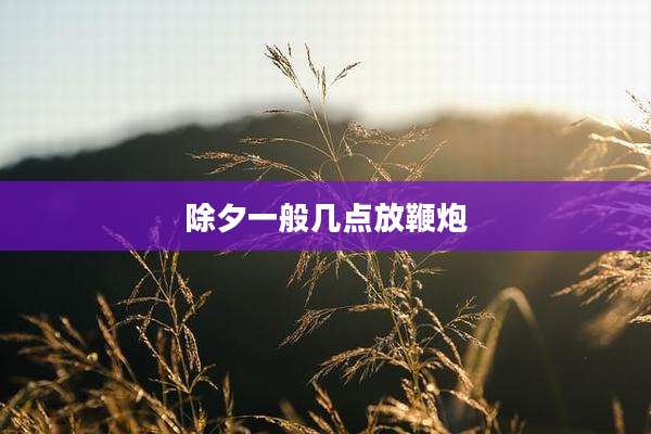 除夕一般几点放鞭炮