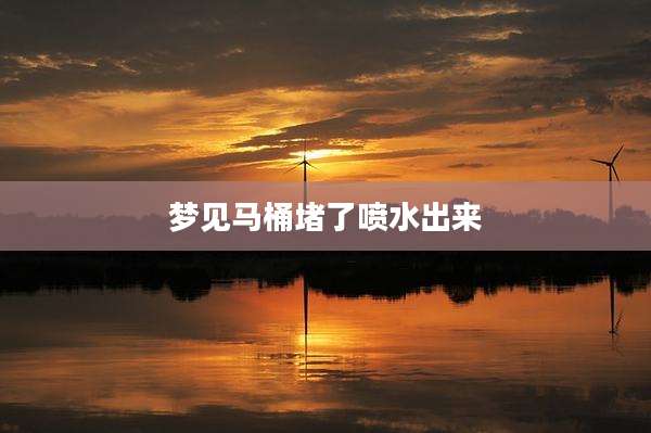 梦见马桶堵了喷水出来