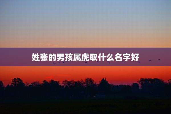 姓张的男孩属虎取什么名字好