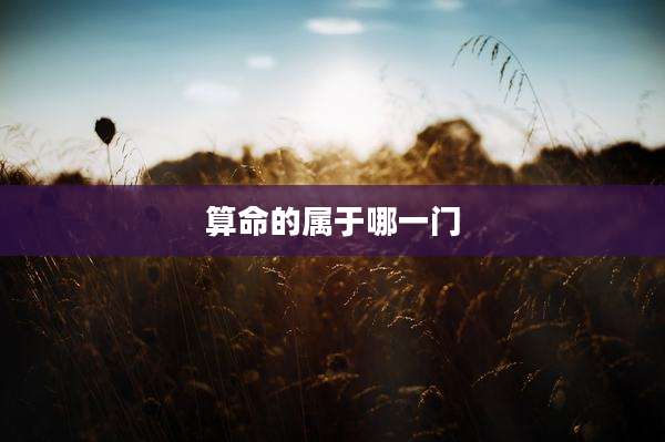 算命的属于哪一门
